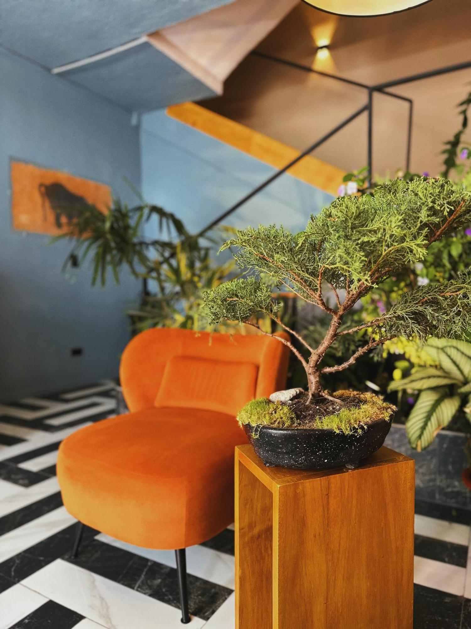 Hotel Agave Banos Ngoại thất bức ảnh